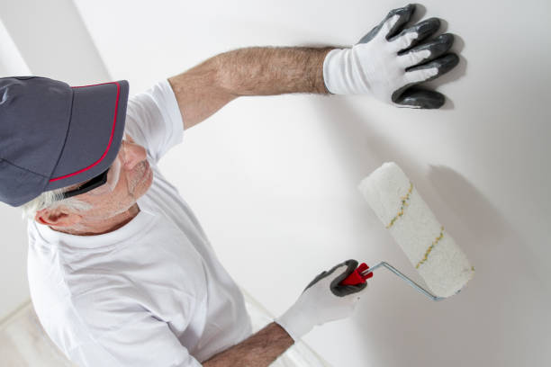 Wallpaper Removal and Painting in Destrehan, LA